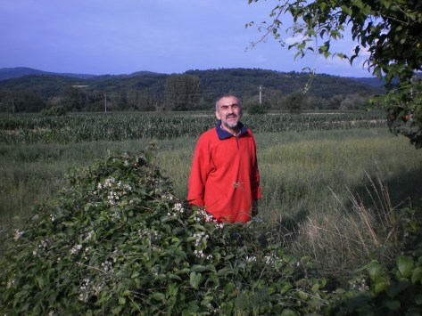 Човек у црвеном, у средишту слике -Бела Тукадруз - снимљене током касног пролећа 2013 у Звижду (Иван Лукић)